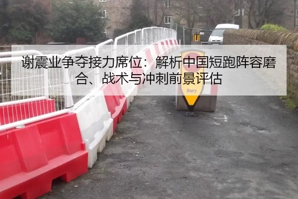 谢震业争夺接力席位：解析中国短跑阵容磨合、战术与冲刺前景评估